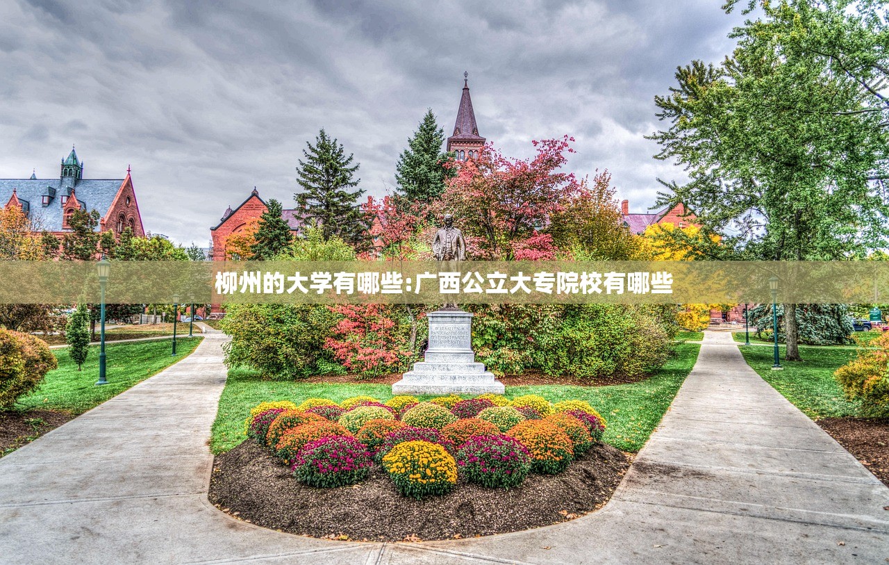柳州的大学有哪些:广西公立大专院校有哪些