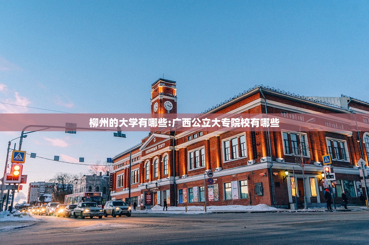 柳州的大学有哪些:广西公立大专院校有哪些