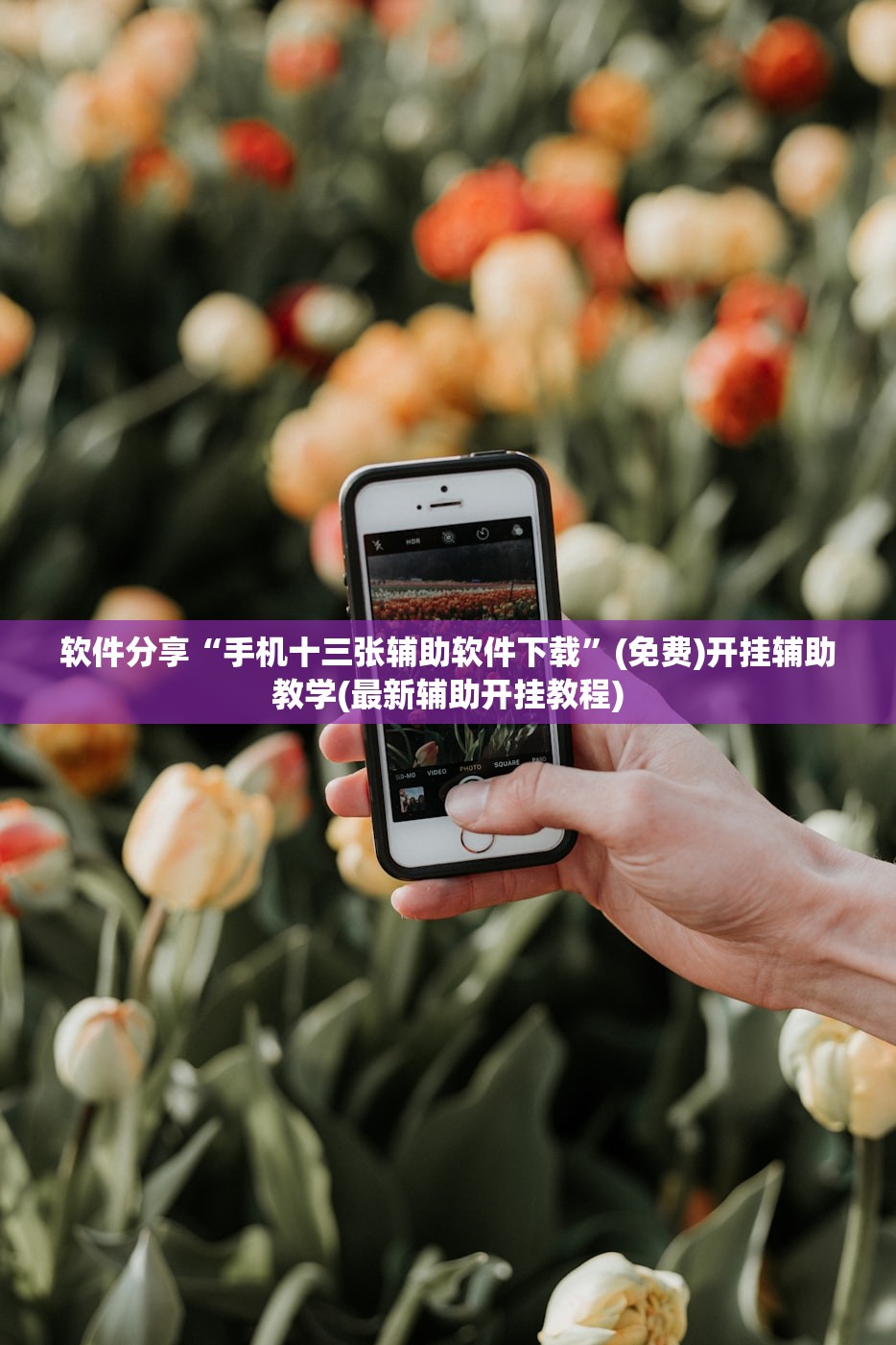 软件分享“手机十三张辅助软件下载”(免费)开挂辅助教学(最新辅助开挂教程)
