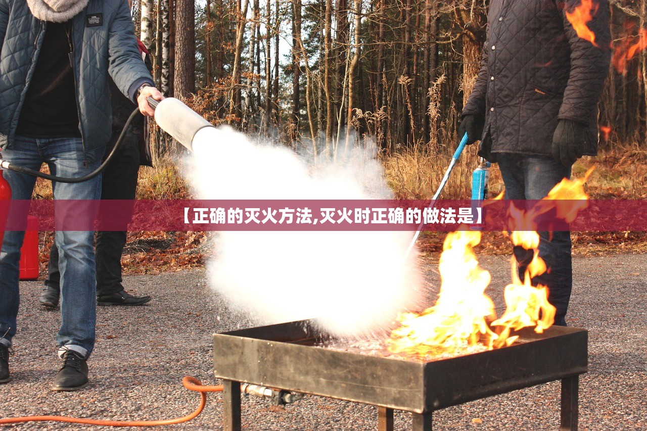【正确的灭火方法,灭火时正确的做法是】