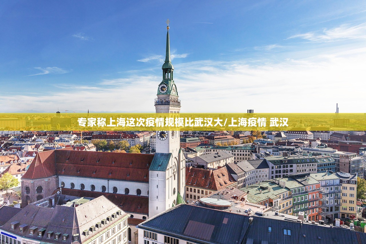 专家称上海这次疫情规模比武汉大/上海疫情 武汉 专家称上海这次疫情规模比武汉大/上海疫情 武汉