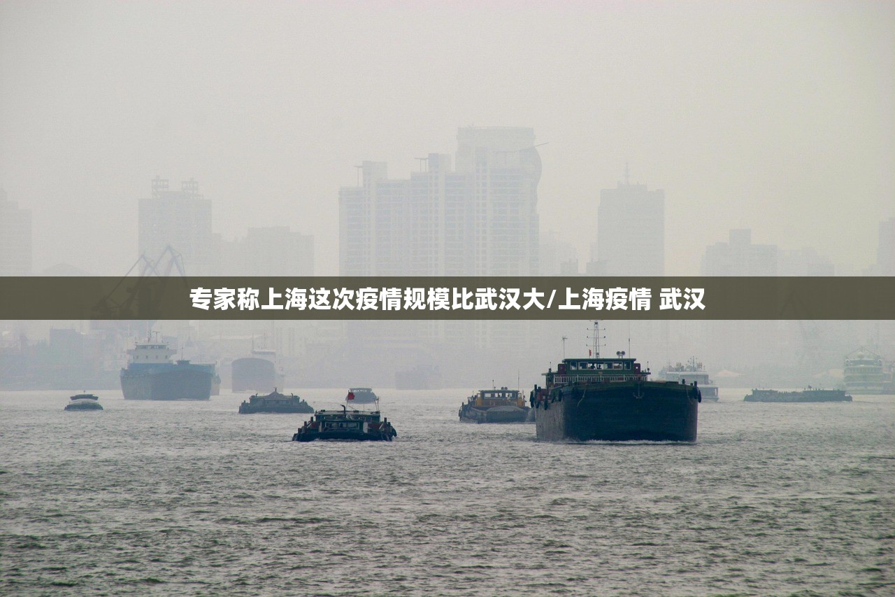 专家称上海这次疫情规模比武汉大/上海疫情 武汉 专家称上海这次疫情规模比武汉大/上海疫情 武汉