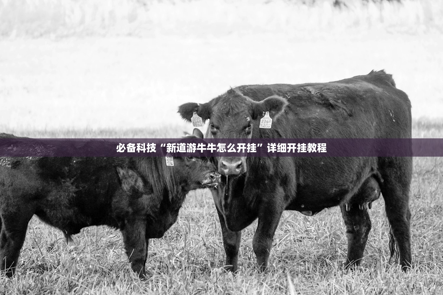 2026首发科技“微乐湖南麻将外卦神器下载”原来可以开挂
