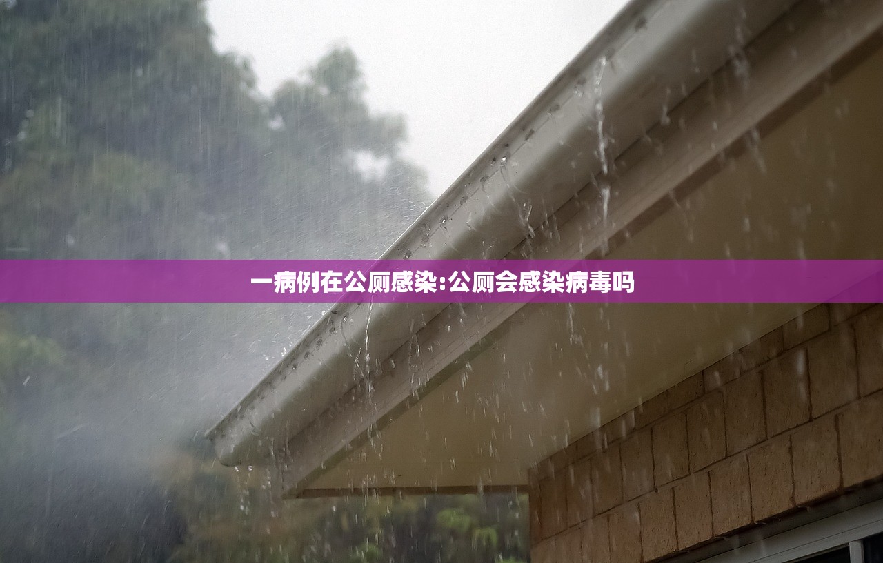 一病例在公厕感染:公厕会感染病毒吗 一病例在公厕感染:公厕会感染病毒吗