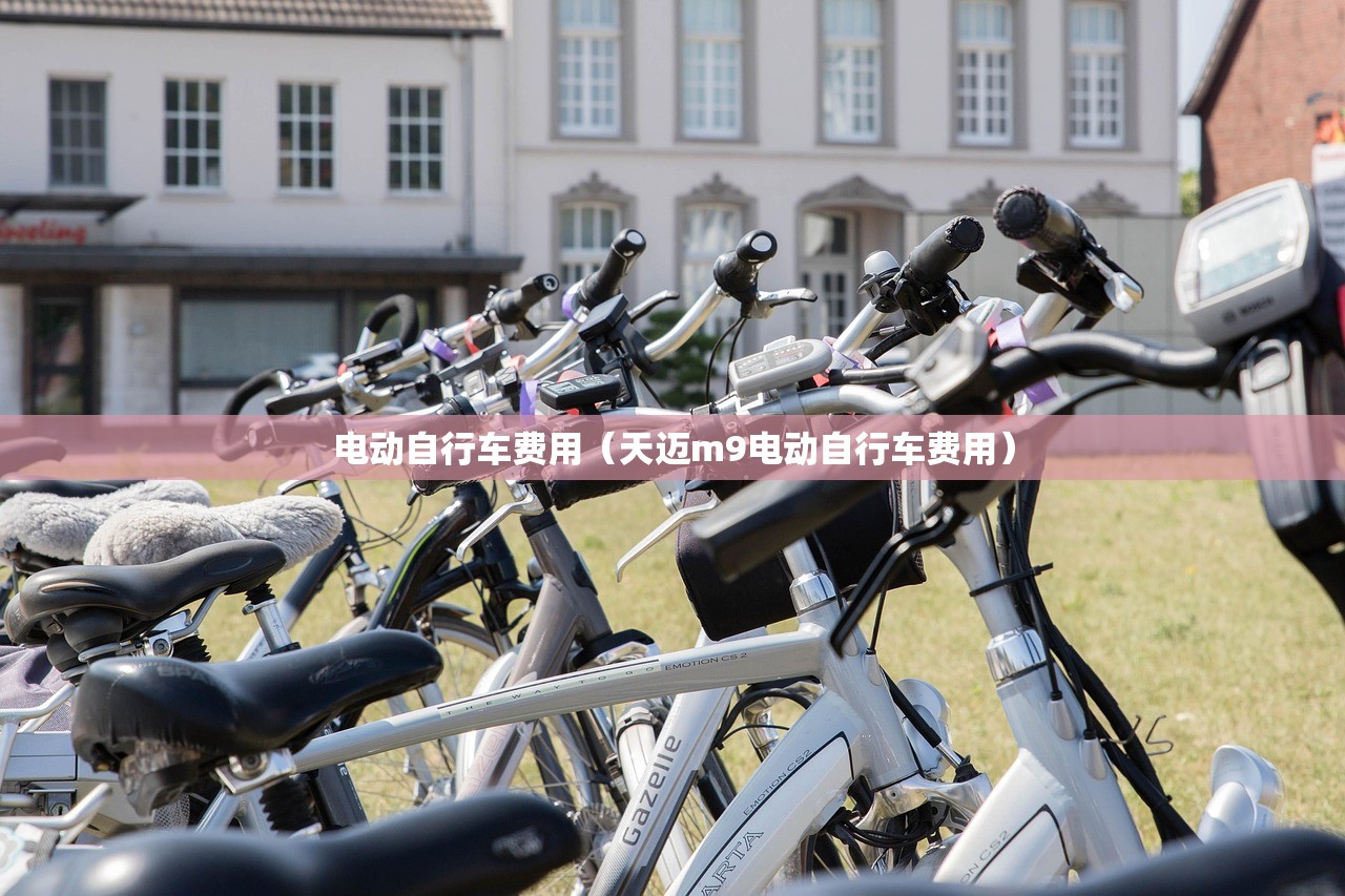电动自行车费用（天迈m9电动自行车费用）