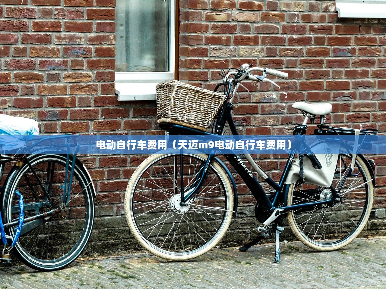电动自行车费用（天迈m9电动自行车费用）