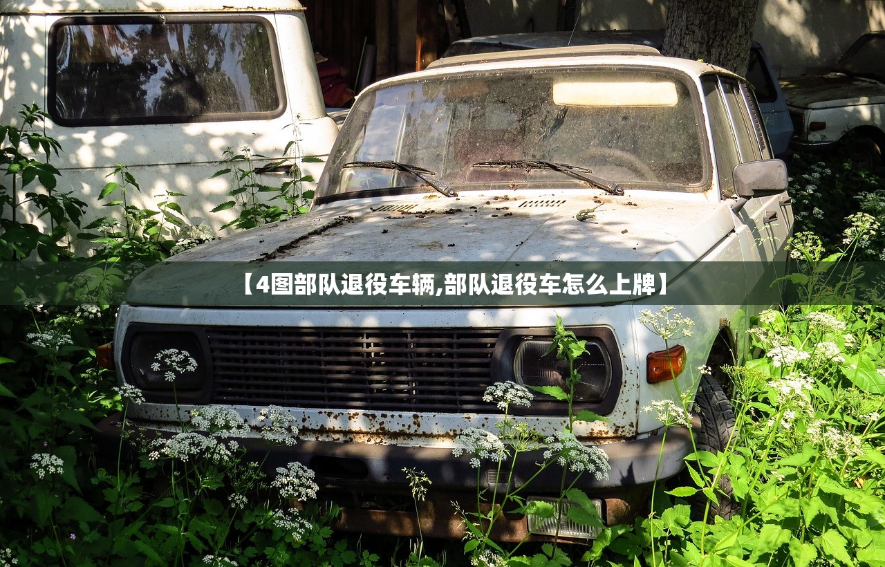 【4图部队退役车辆,部队退役车怎么上牌】