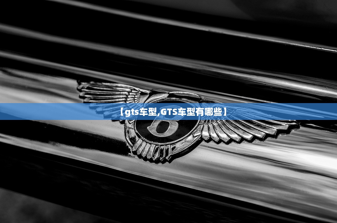【gts车型,GTS车型有哪些】