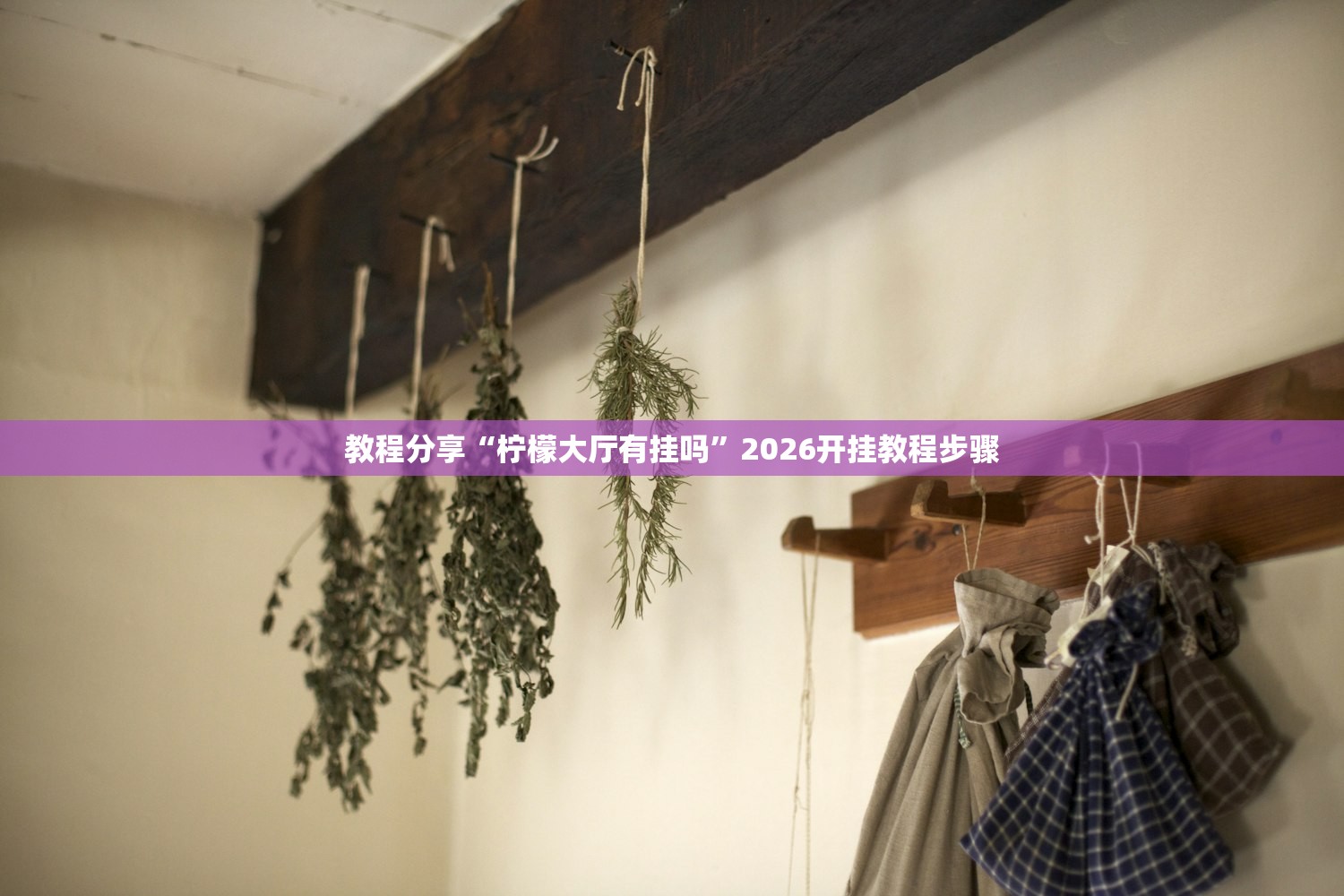 教程分享“柠檬大厅有挂吗”2026开挂教程步骤