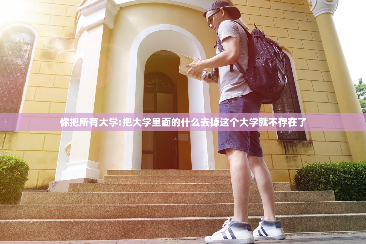 你把所有大学:把大学里面的什么去掉这个大学就不存在了