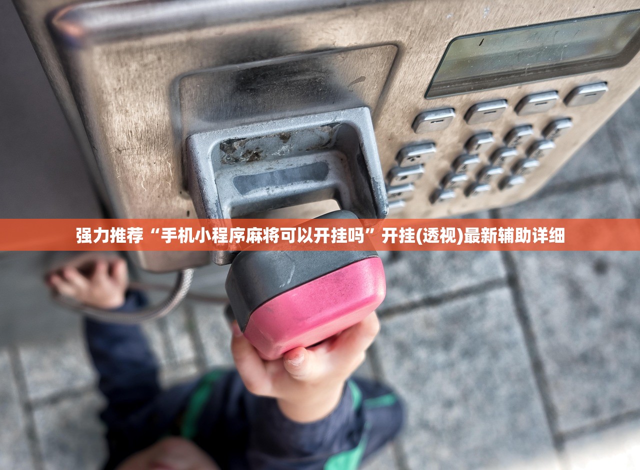 强力推荐“手机小程序麻将可以开挂吗”开挂(透视)最新辅助详细