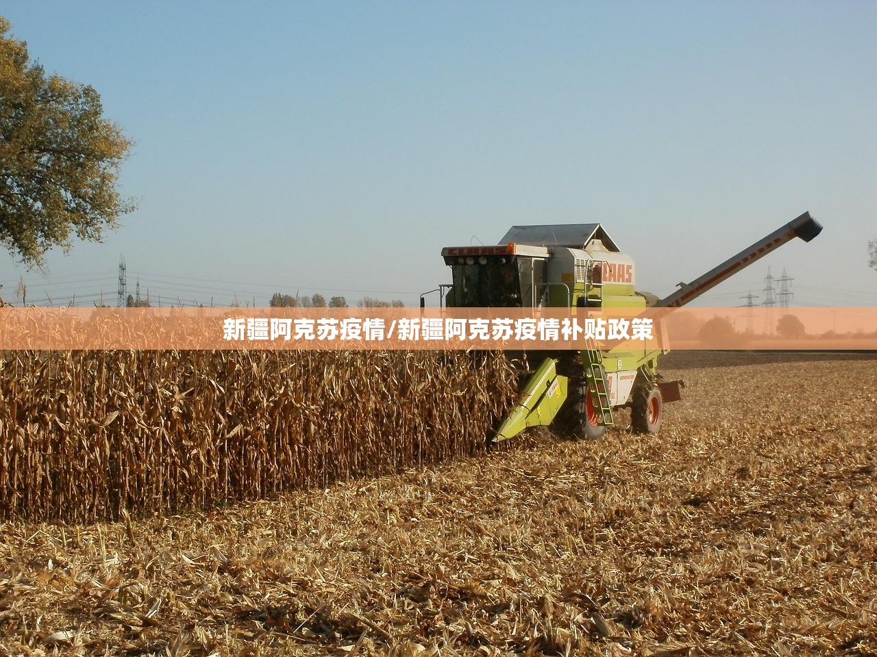 新疆阿克苏疫情/新疆阿克苏疫情补贴政策