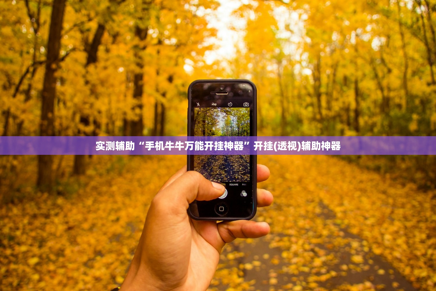 实测辅助“手机牛牛万能开挂神器”开挂(透视)辅助神器