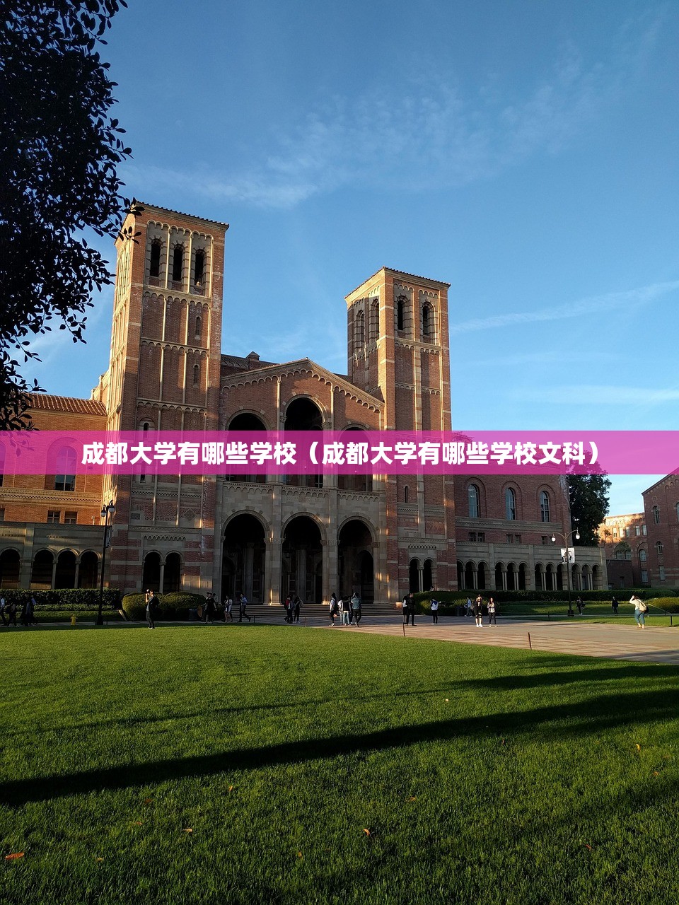 成都大学有哪些学校（成都大学有哪些学校文科）