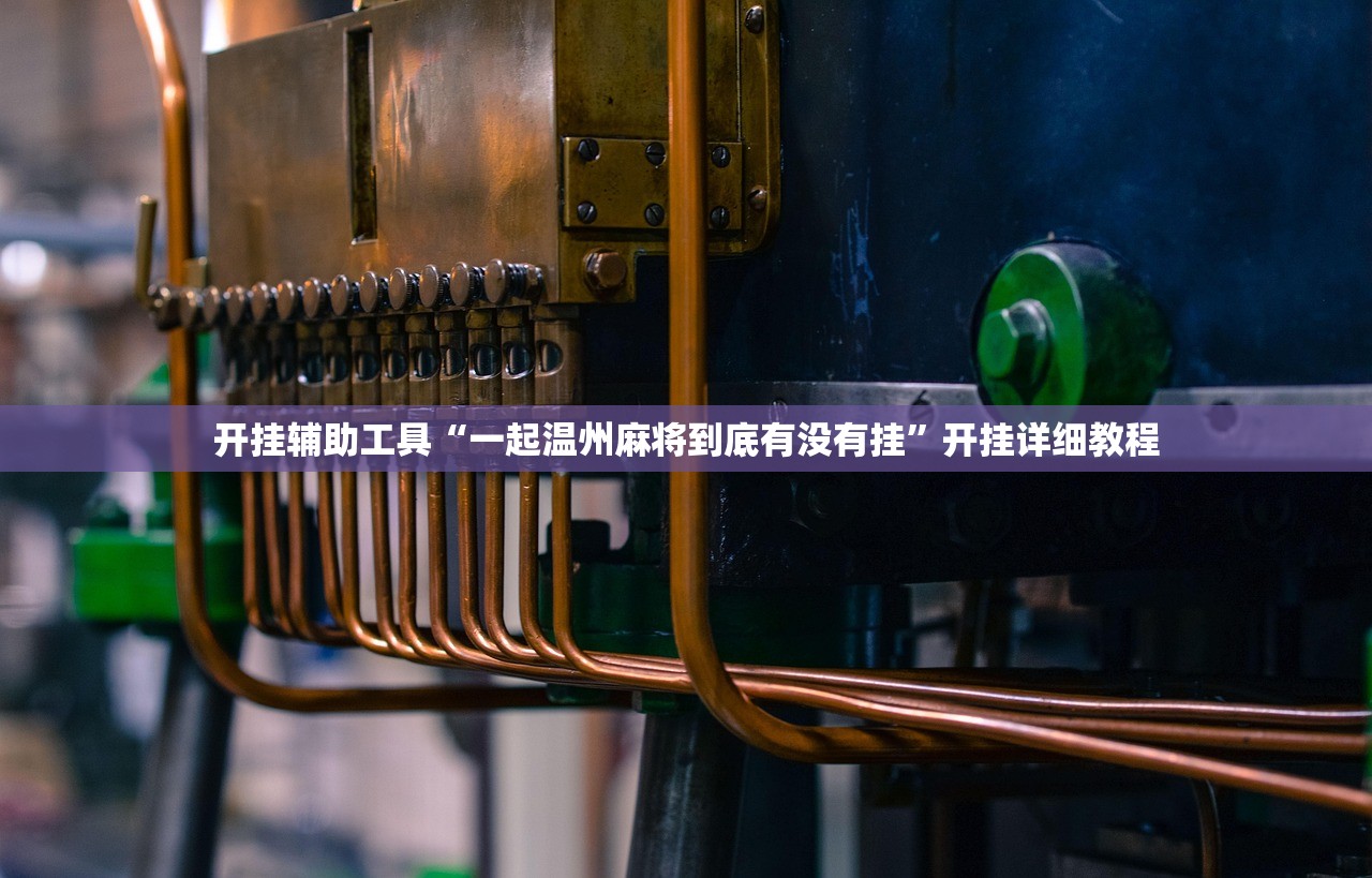 开挂辅助工具“一起温州麻将到底有没有挂”开挂详细教程