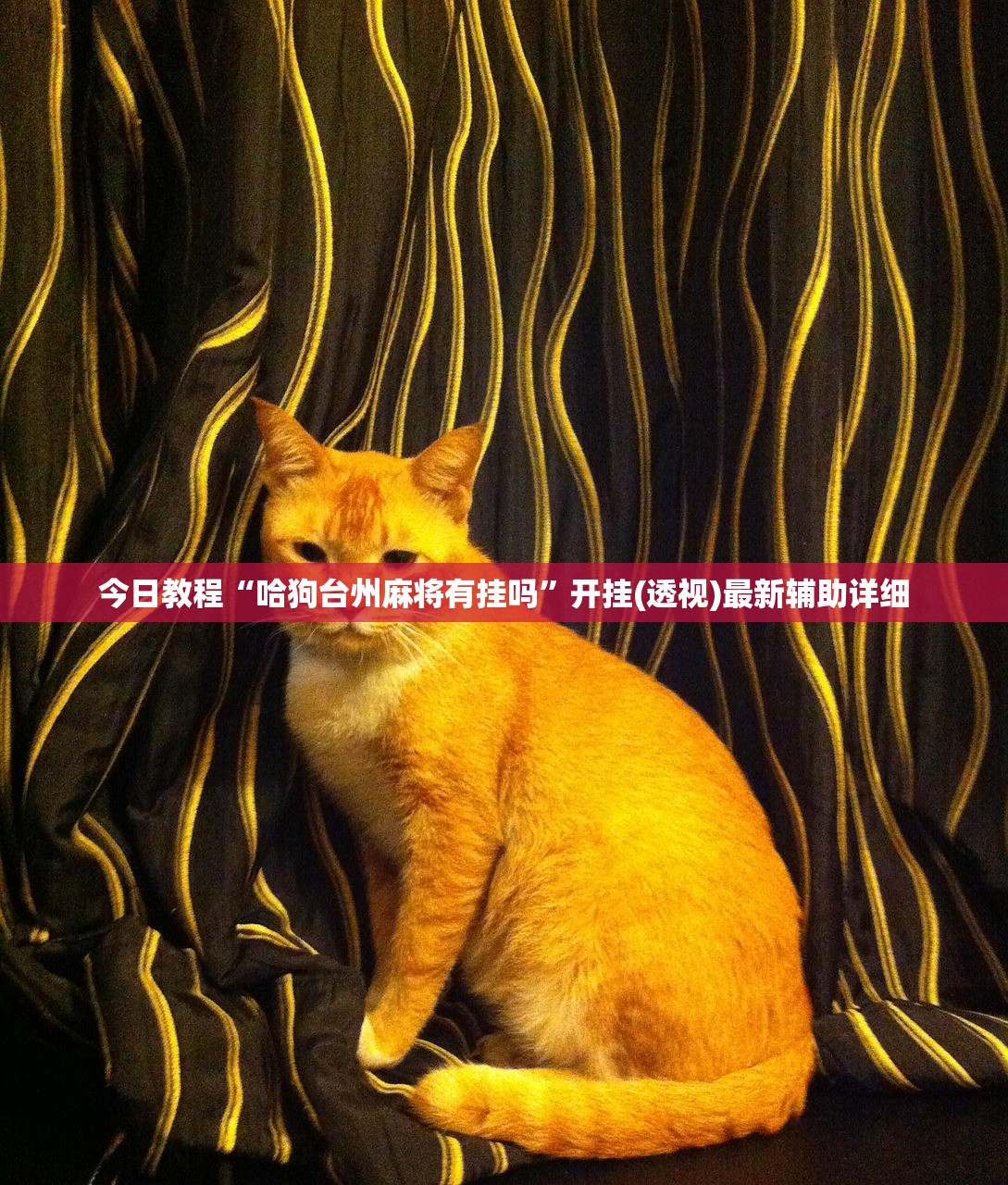 分享实测辅助“鑫豪天地小九怎么一直输”开挂(透视)辅助教程