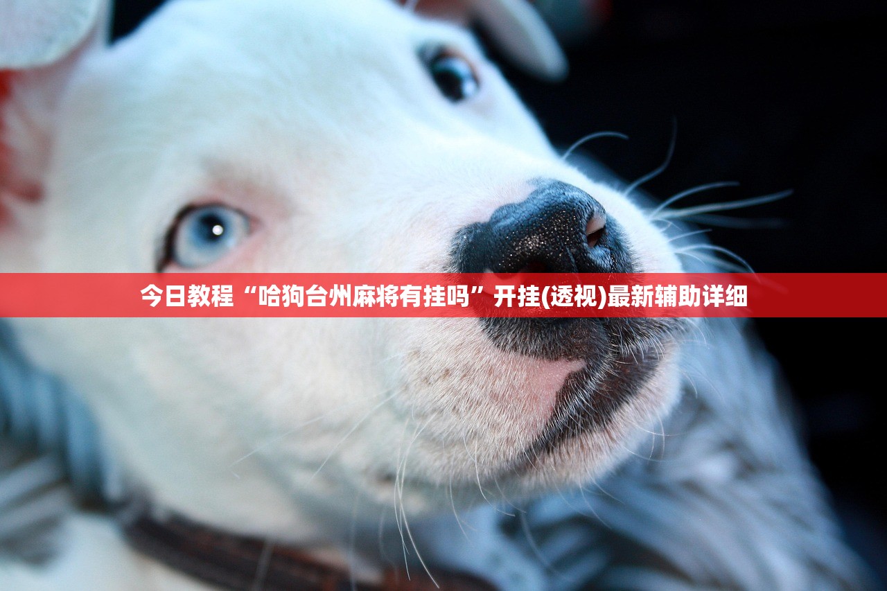 今日教程“哈狗台州麻将有挂吗”开挂(透视)最新辅助详细