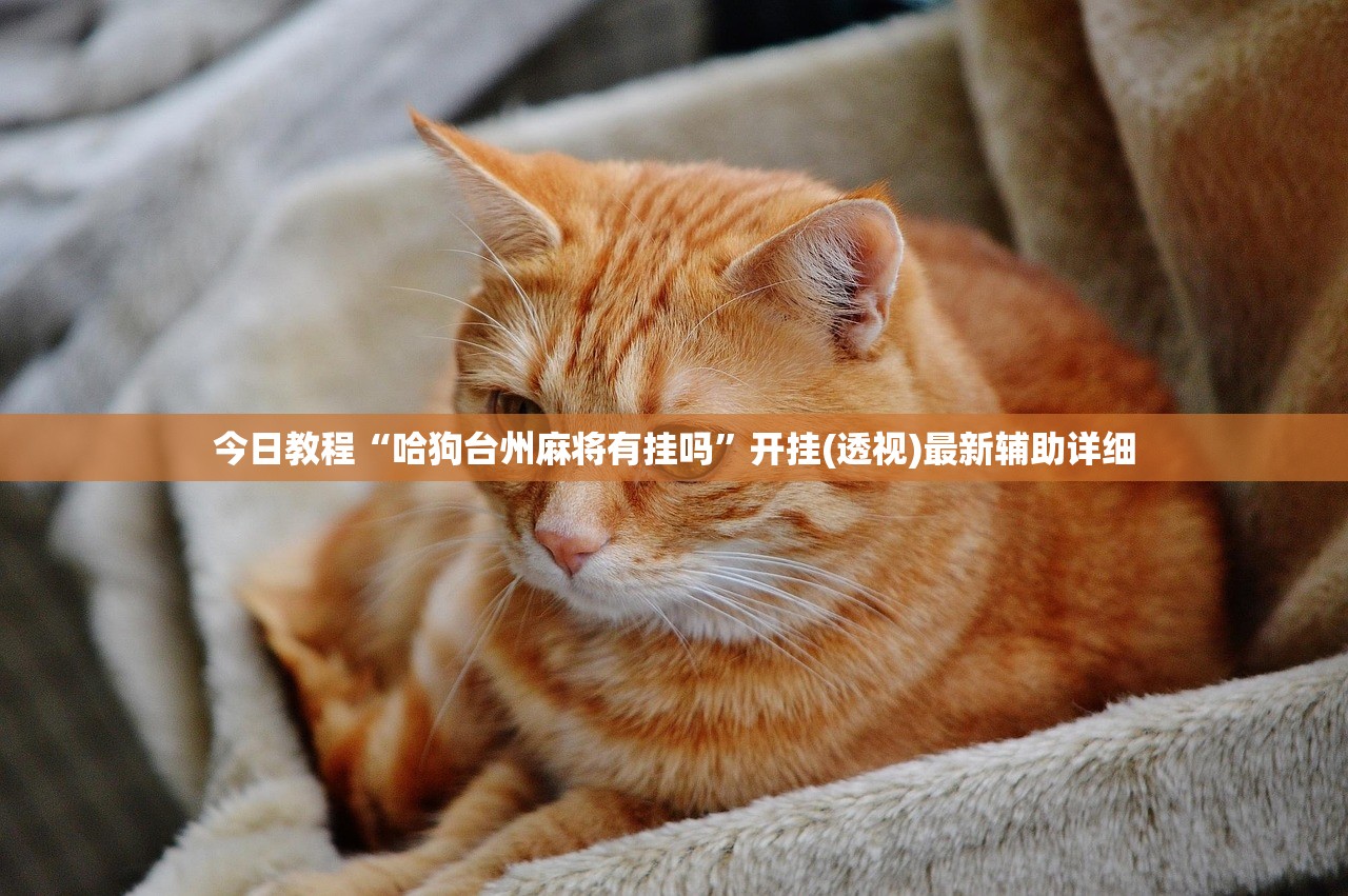 今日教程“哈狗台州麻将有挂吗”开挂(透视)最新辅助详细