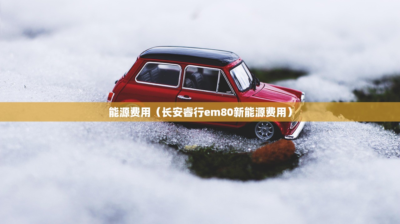 能源费用（长安睿行em80新能源费用）