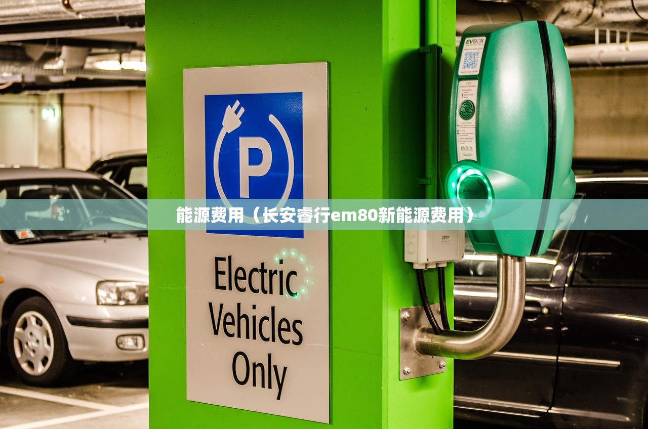 能源费用（长安睿行em80新能源费用）