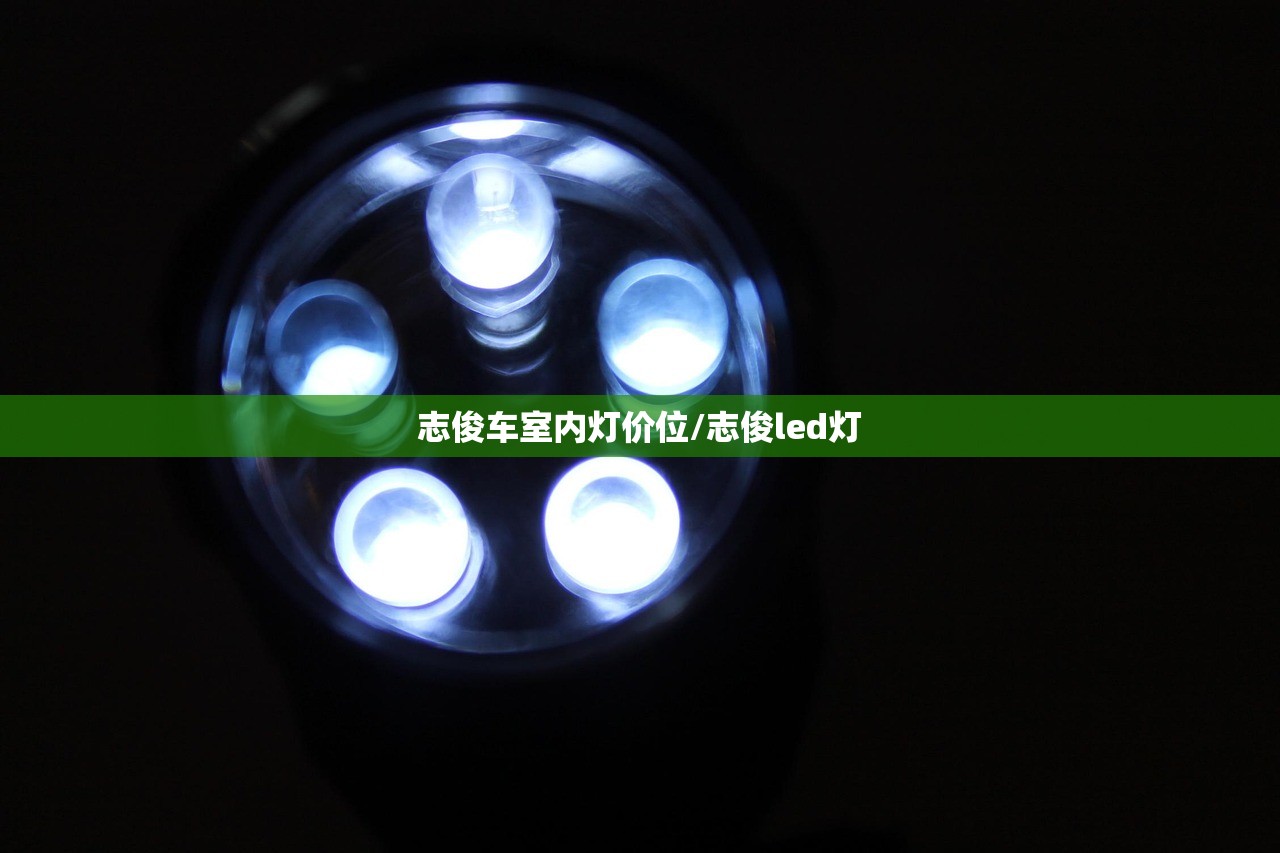 志俊车室内灯价位/志俊led灯