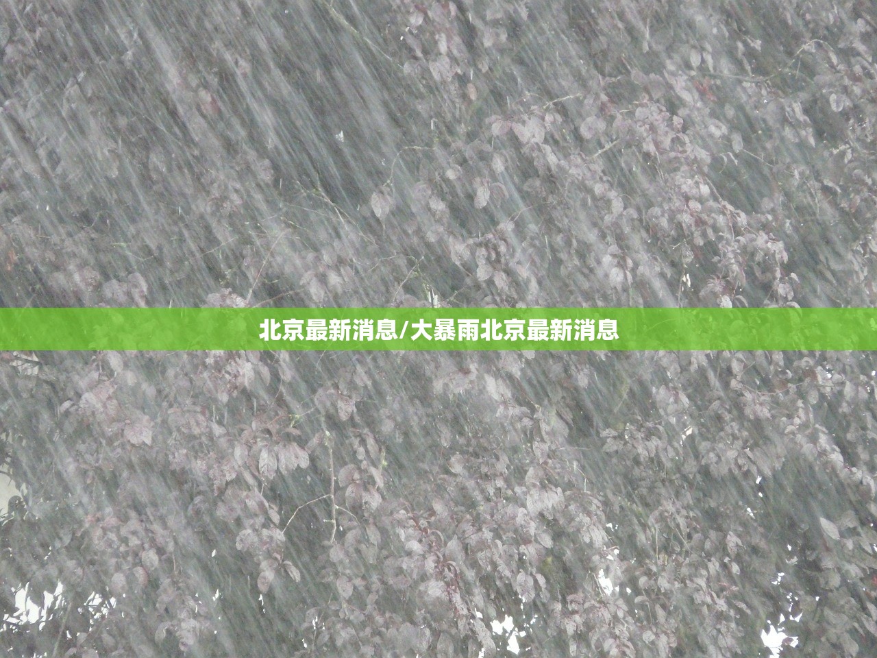 北京最新消息/大暴雨北京最新消息