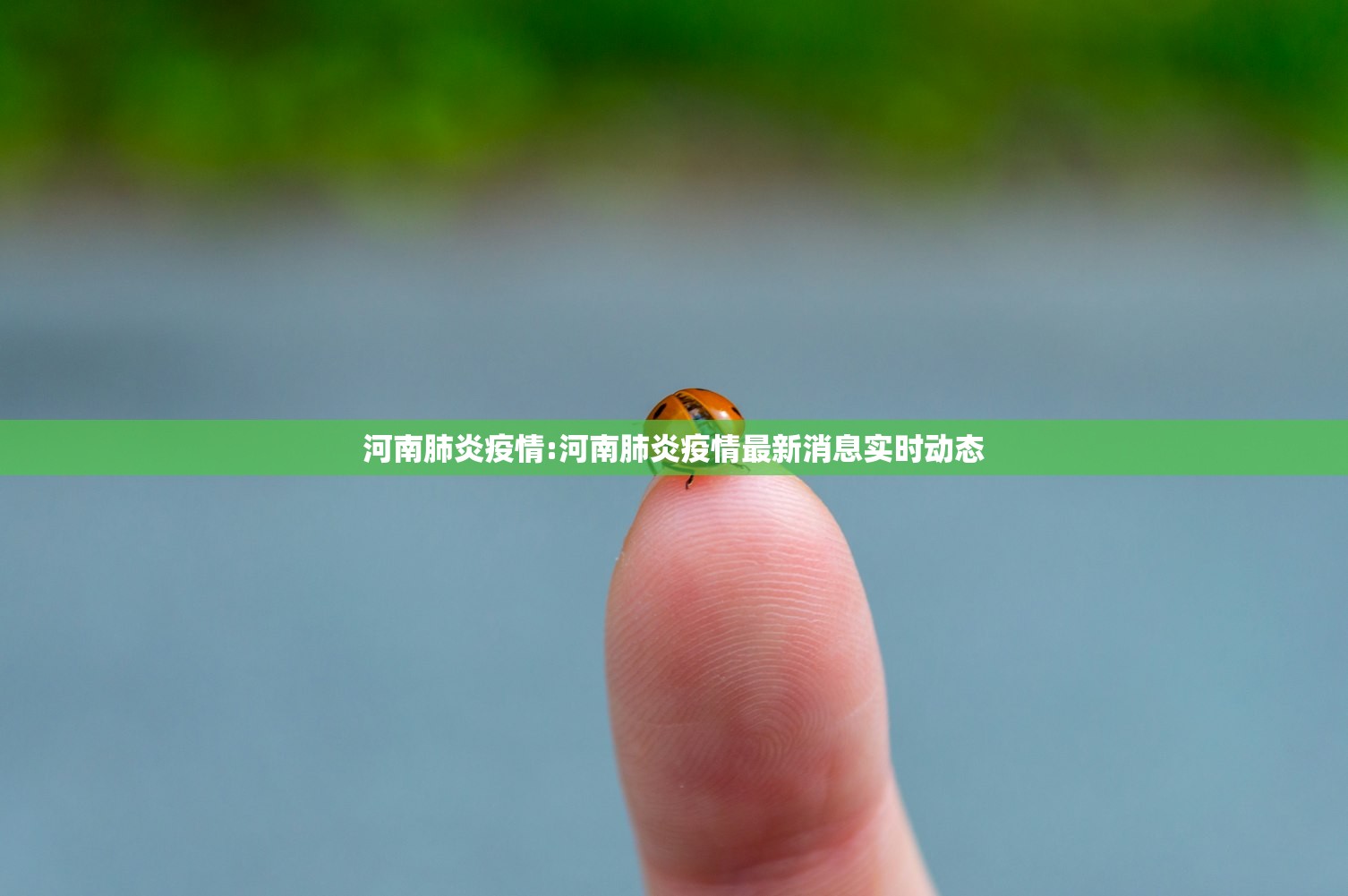 河南肺炎疫情:河南肺炎疫情最新消息实时动态 河南肺炎疫情:河南肺炎疫情最新消息实时动态