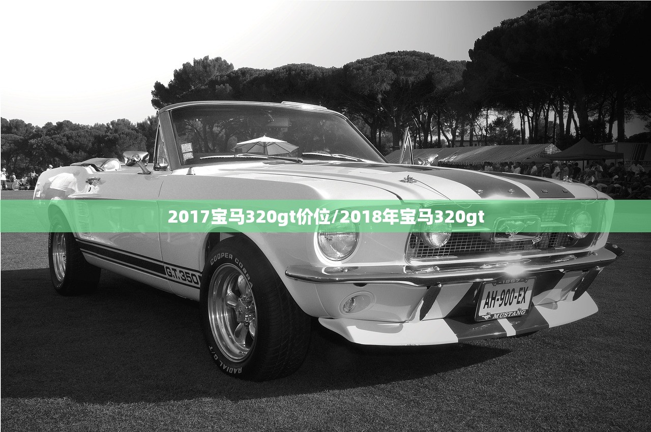 2017宝马320gt价位/2018年宝马320gt