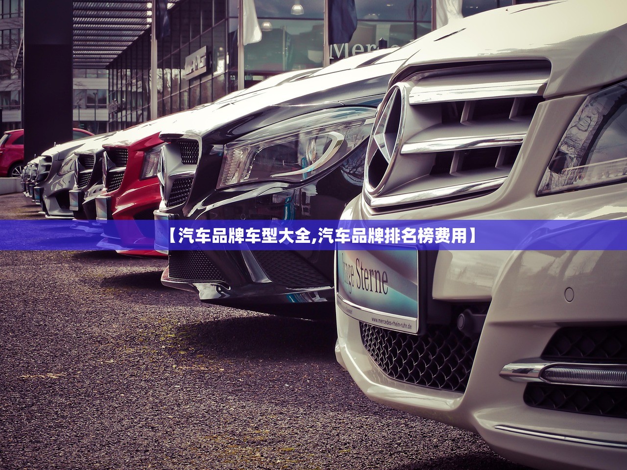 【汽车品牌车型大全,汽车品牌排名榜费用】