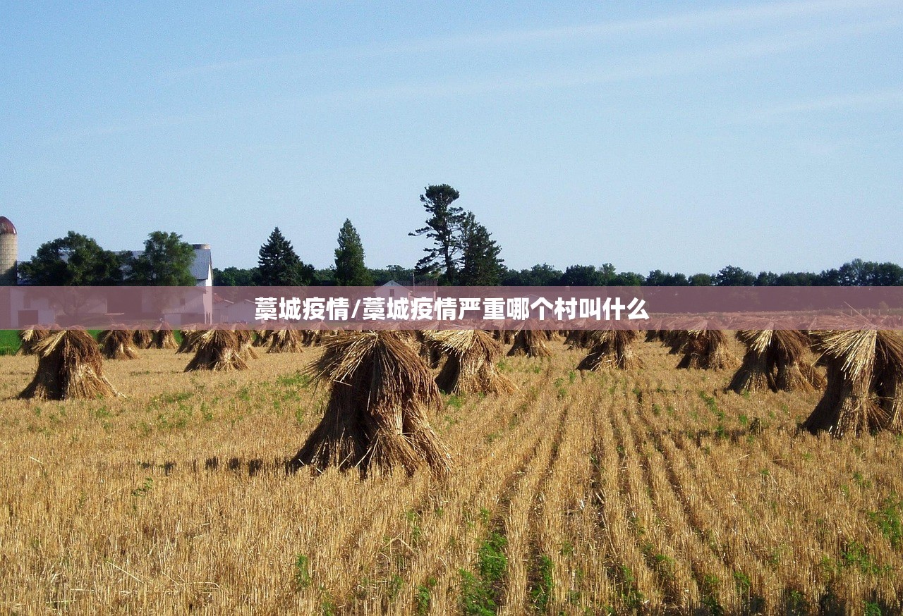 藁城疫情/藁城疫情严重哪个村叫什么