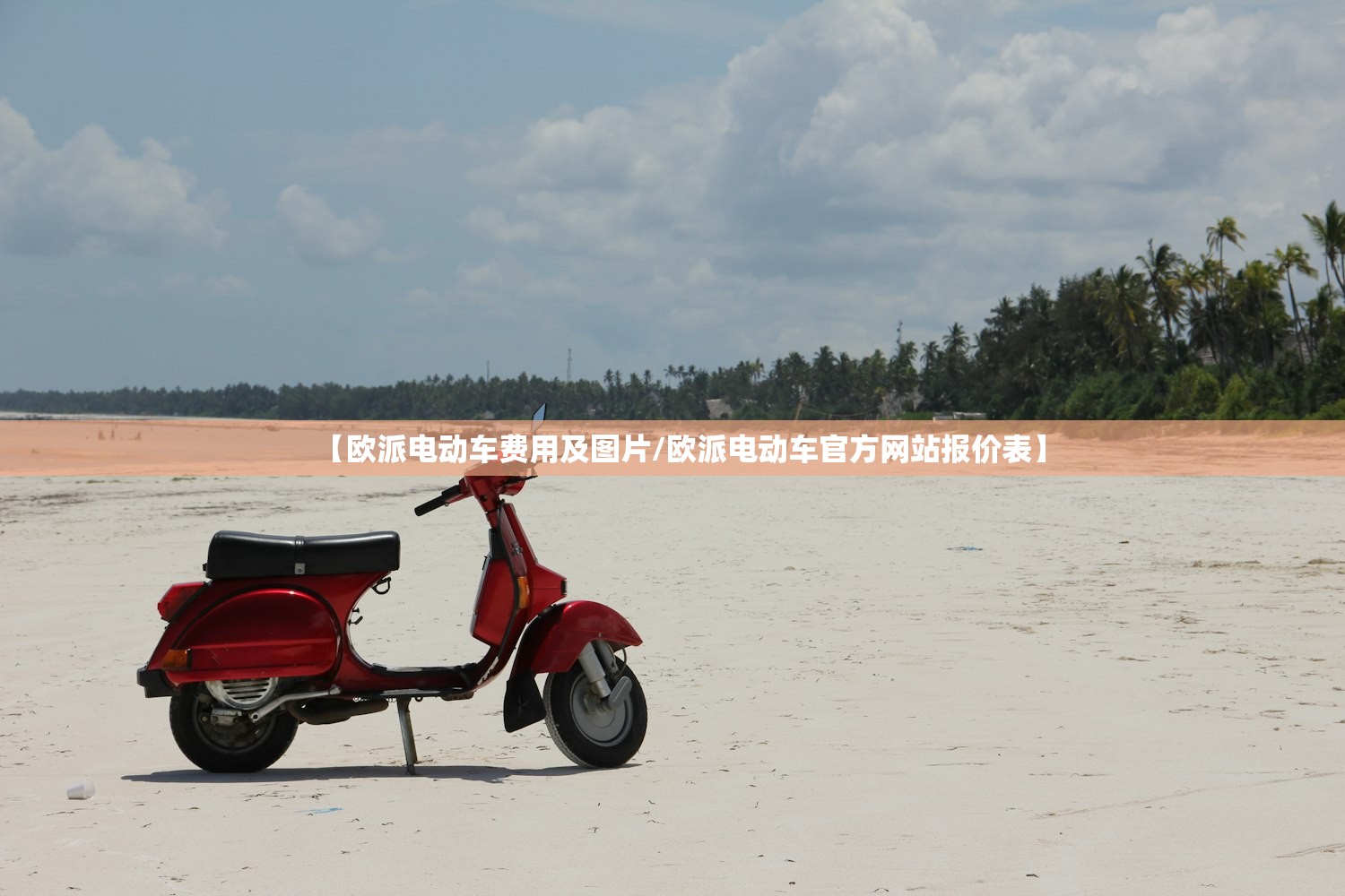 【欧派电动车费用及图片/欧派电动车官方网站报价表】