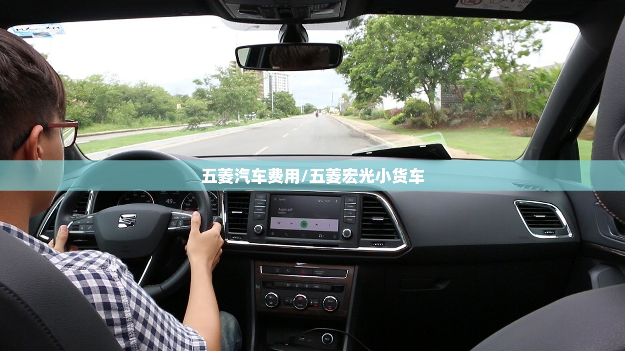 五菱汽车费用/五菱宏光小货车