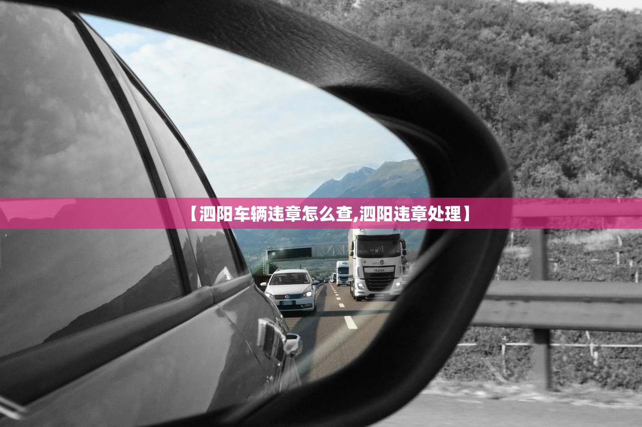 【泗阳车辆违章怎么查,泗阳违章处理】