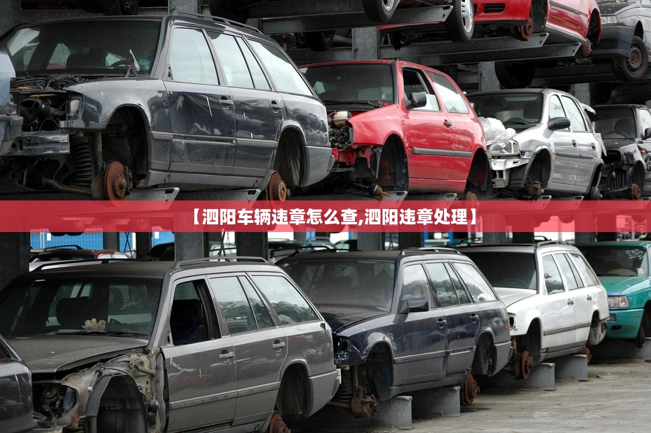【泗阳车辆违章怎么查,泗阳违章处理】
