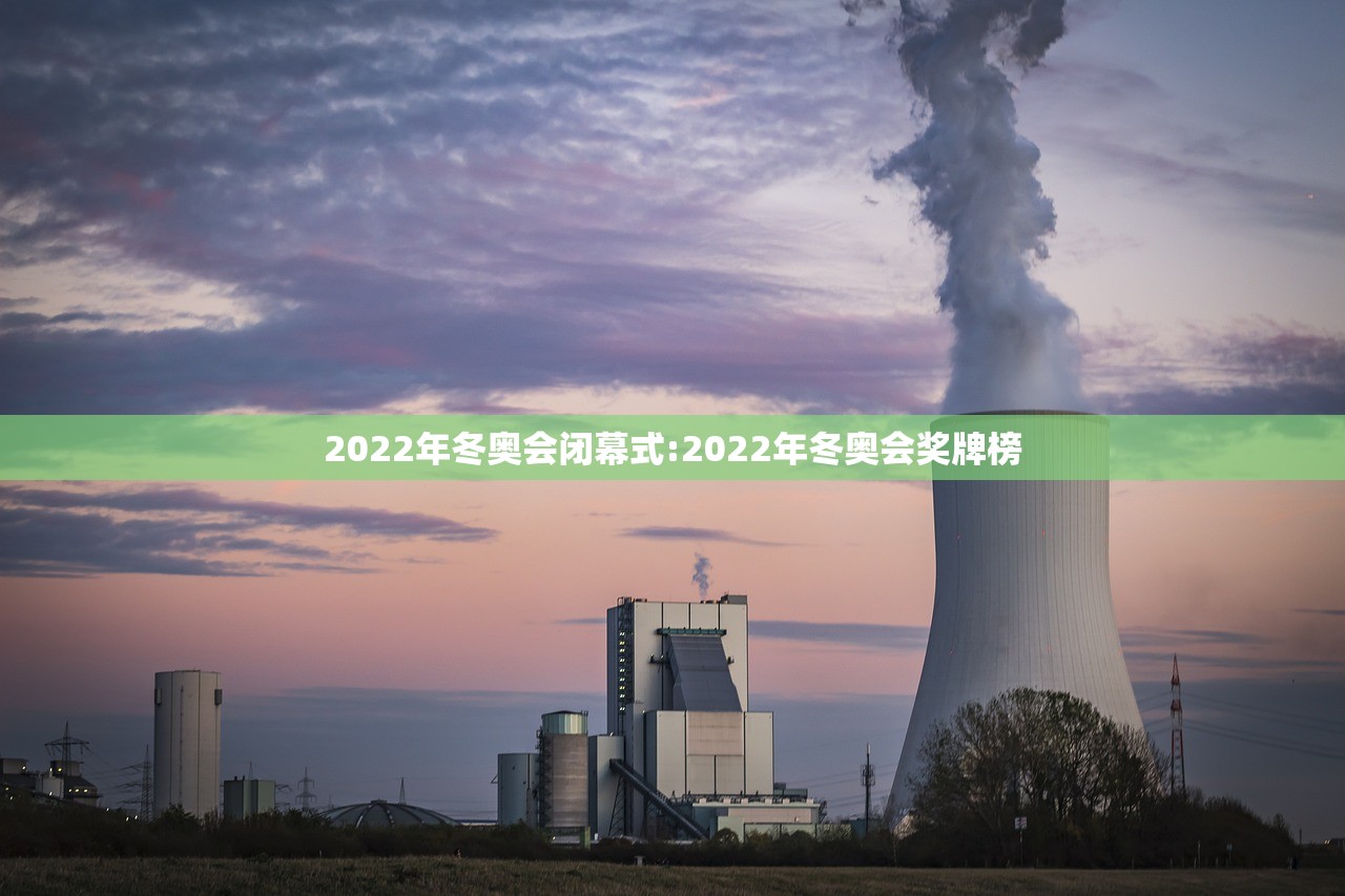 2022年冬奥会闭幕式:2022年冬奥会奖牌榜
