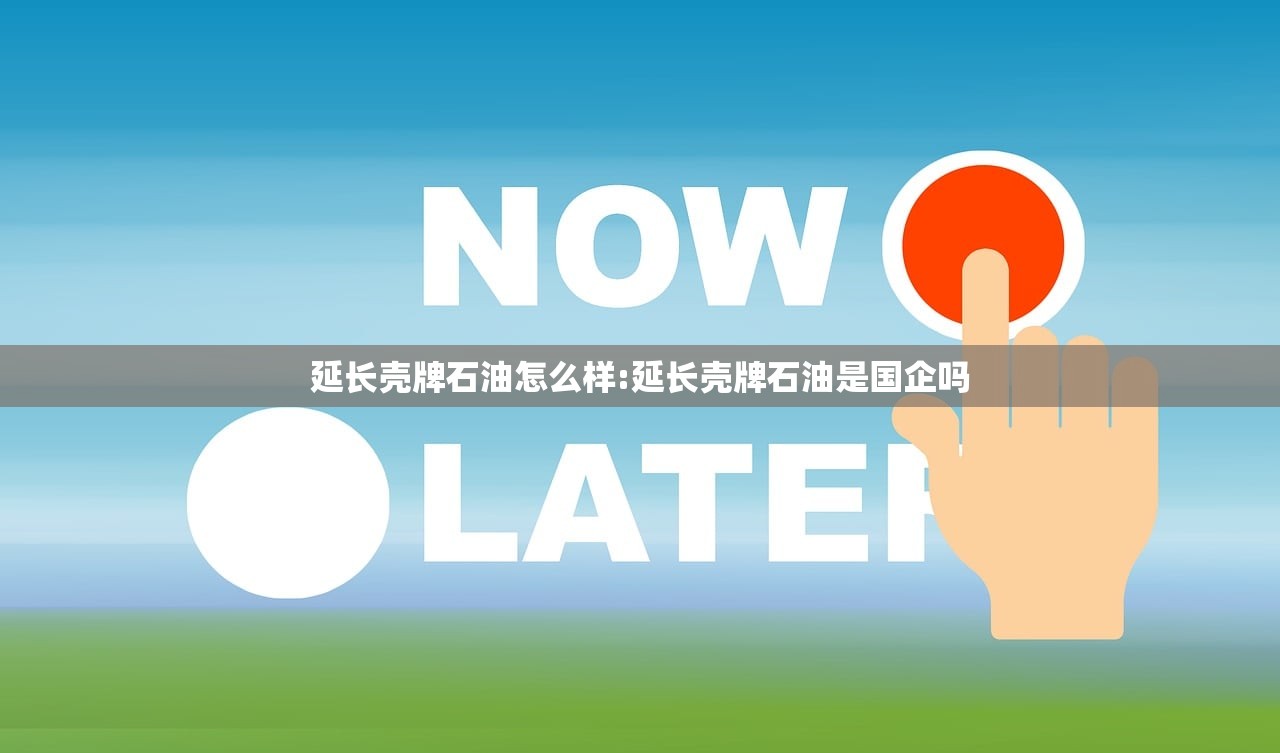 延长壳牌石油怎么样:延长壳牌石油是国企吗