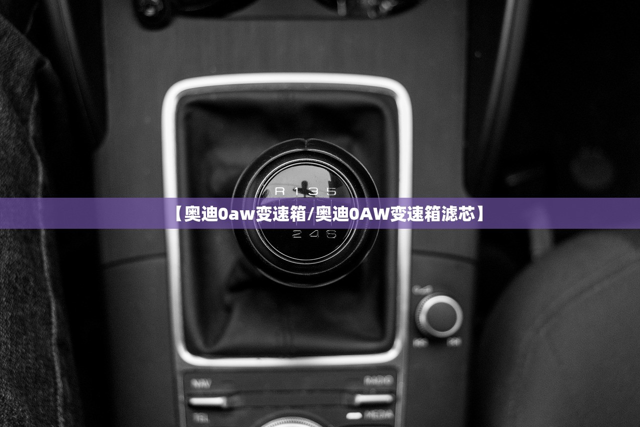 【奥迪0aw变速箱/奥迪0AW变速箱滤芯】