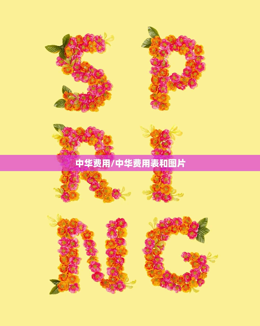 31省区市新增确诊5例本土3例（31省区市新增确诊5例 本土3例）