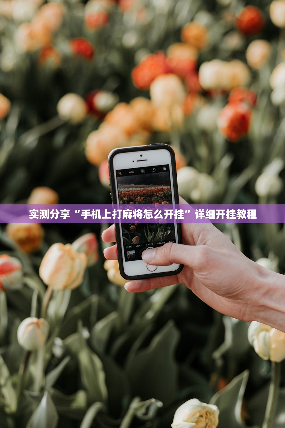 实测分享“手机上打麻将怎么开挂”详细开挂教程