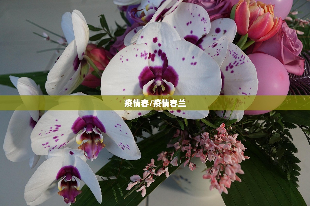实测分享“中至赣州麻将万能开挂神器”(透视挂)辅助下载教程