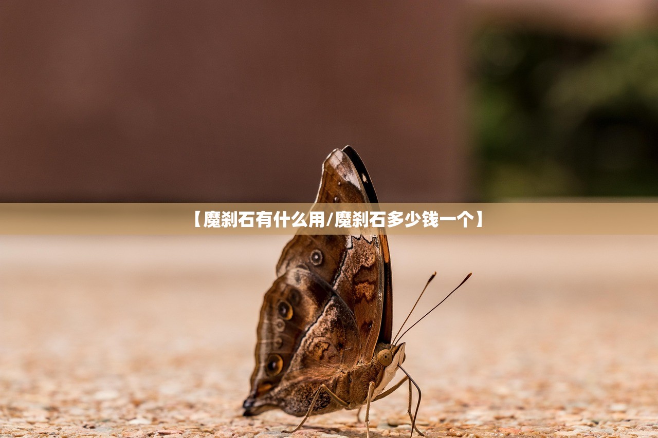 【魔刹石有什么用/魔刹石多少钱一个】