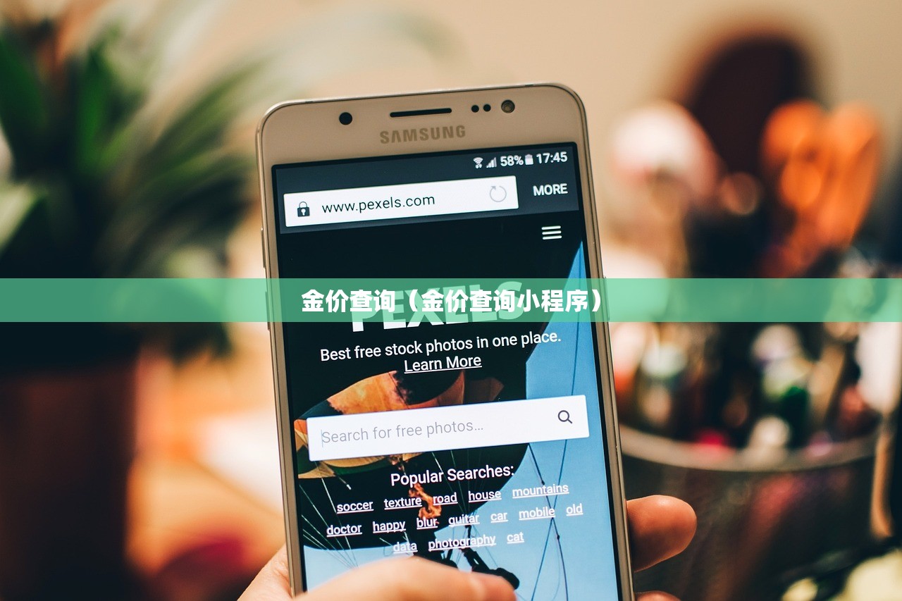 金价查询（金价查询小程序）