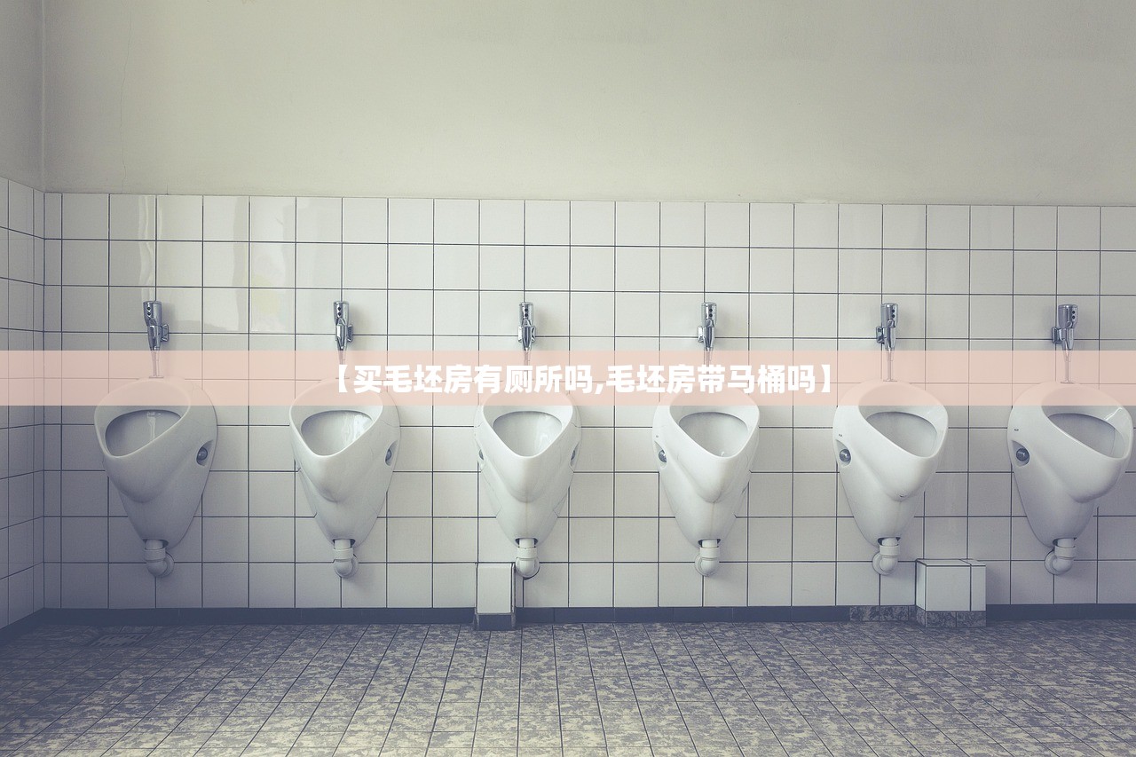 【买毛坯房有厕所吗,毛坯房带马桶吗】