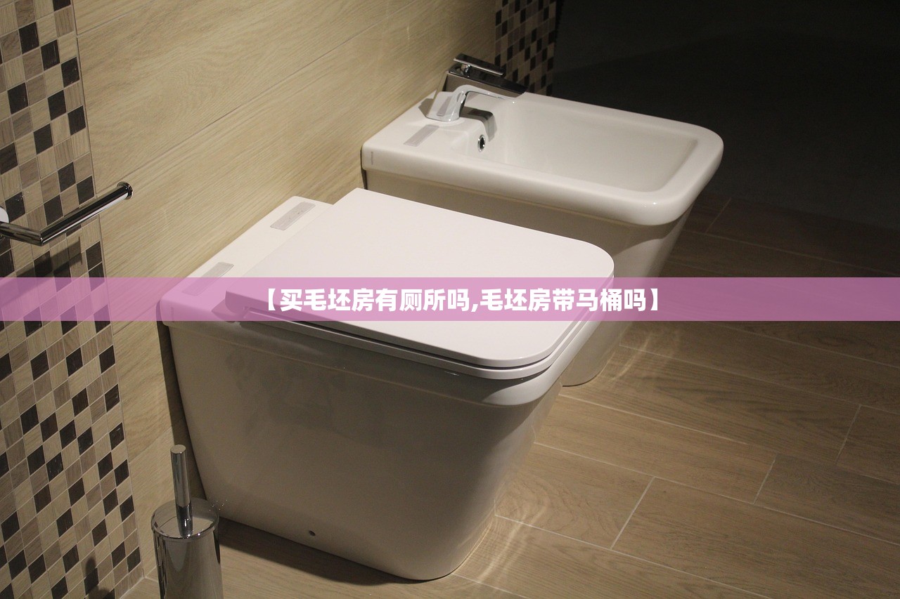 【买毛坯房有厕所吗,毛坯房带马桶吗】