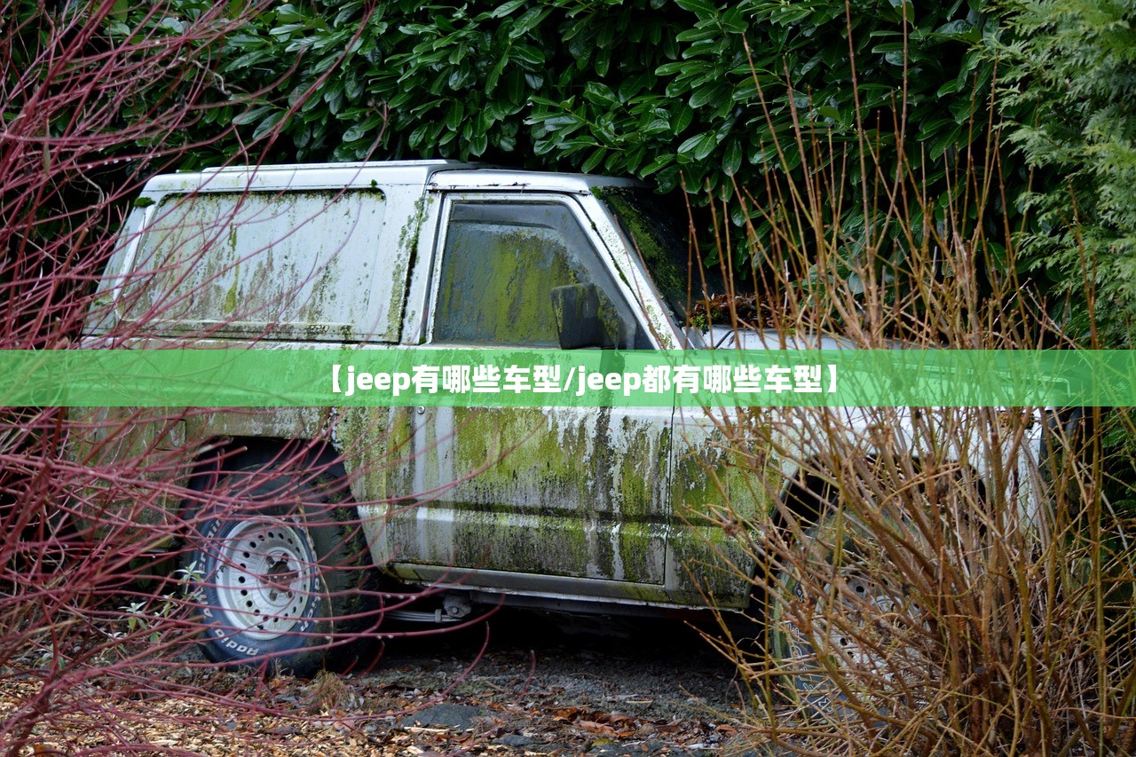 【jeep有哪些车型/jeep都有哪些车型】