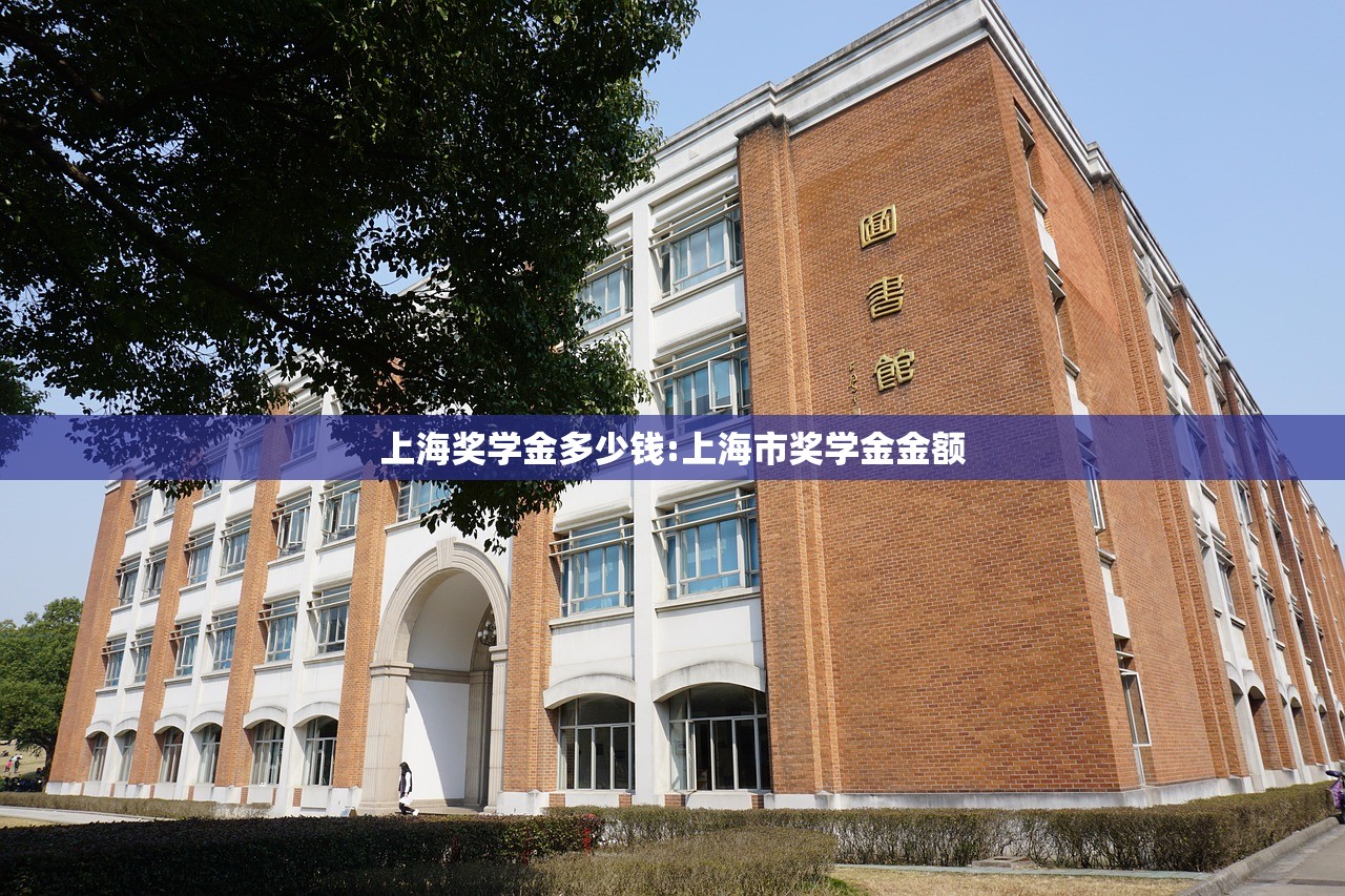 上海奖学金多少钱:上海市奖学金金额
