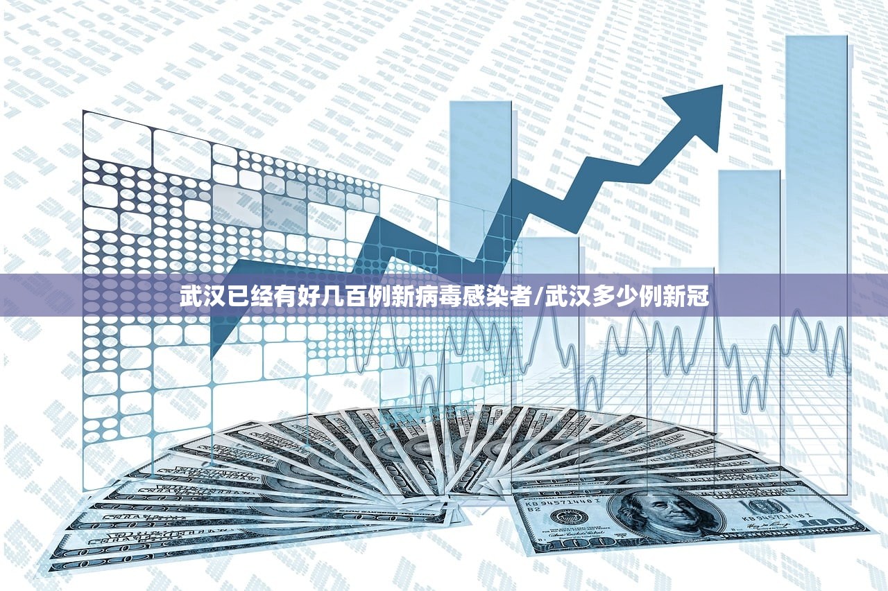 武汉已经有好几百例新病毒感染者/武汉多少例新冠