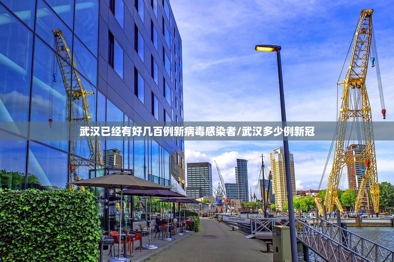 武汉已经有好几百例新病毒感染者/武汉多少例新冠