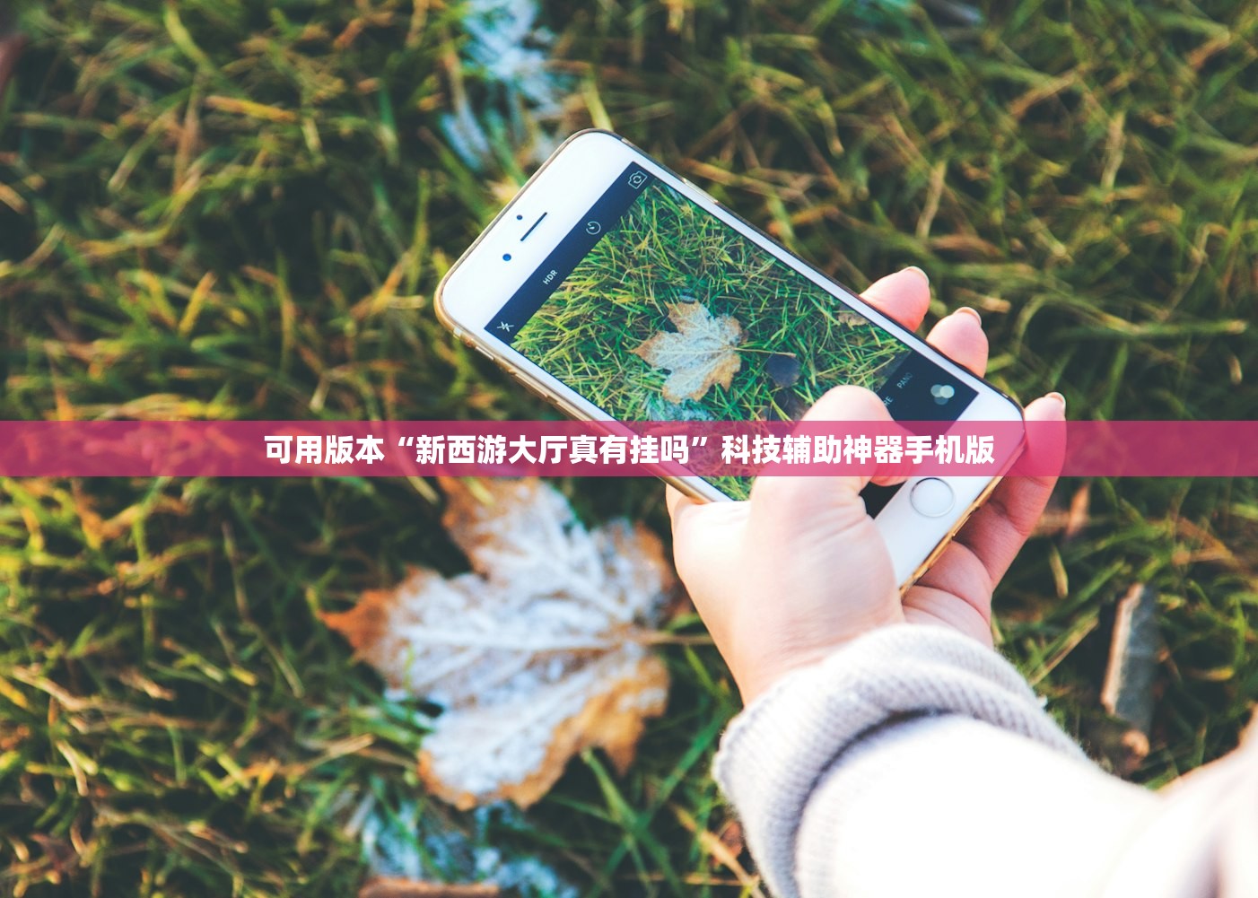 一键必胜“手机十三张辅助软件下载”(免费)开挂辅助教学(最新辅助开挂教程)