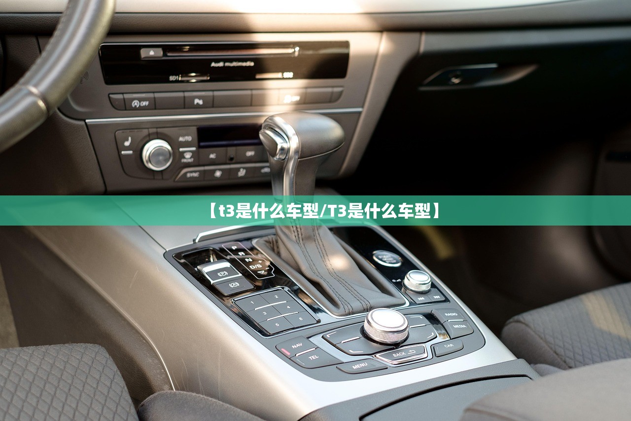 【t3是什么车型/T3是什么车型】
